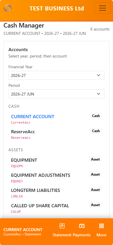 Cash Manager mobile overview